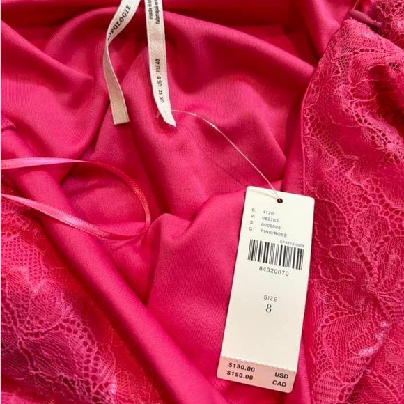 Anthropologie Sheer Lace Pink Maxi Skirt - Picture 3 of 3